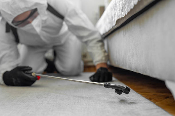 Professional Cockroach Control technician working in Milltown, NJ